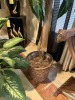 ASSORTED ARTIFICIAL PLANTS - 3
