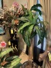 ASSORTED ARTIFICIAL PLANTS - 4