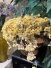ASSORTED - 1- VASE WITH ARTIFICIAL FLOWERS / 1- BASKET WITH ARTIFICIAL FLOWERS - 2
