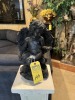 RESIN STATUE - CUPID - 15''H