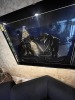 ARTWORK - PYRAMID BLACK PANTHER - BLACK / MIRROR / GOLD - SIGNED LAUREL NEXT - 3