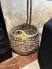 WICKER BASKET WITH ARTIFICIAL PLANT - 7'