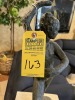 STATUE - DANCING LADY (DAMAGE TO ARM) - 3