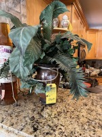 ASSORTED - 1- VASE WITH ARTIFICIAL GREENERY / 1- PLANTER WITH ARTIFICIAL GREENERY