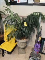 PLANTERS WITH ARTIFICIAL PALM TREES