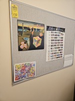 FABRIC PIN BOARD - 35''x4'