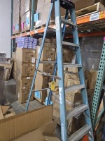 WERNER 8' LADDER