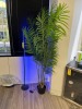 ARTIFICIAL PLANTS - 2