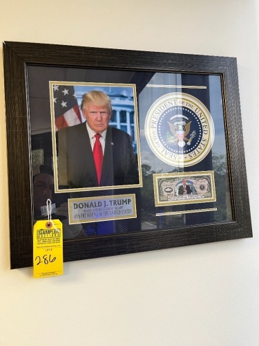 DJT PICTURE