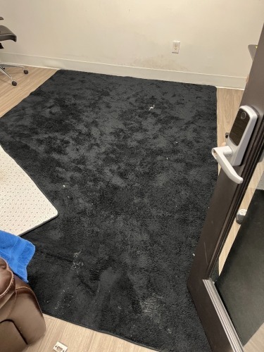 BLACK RUG - 87''x124''