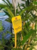 ARTIFICIAL TREE - 2