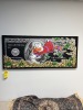 PICTURE - SCROOGE McDUCK