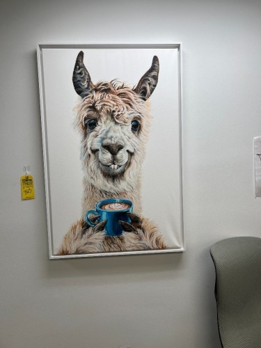 LARGE ANIMAL PICTURES - LLAMA / SLOTH / TIGER