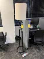 BLACK ARTISTIC FLOOR LAMP