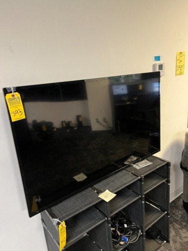 INSIGNIA TELEVISION - 44'' (NO REMOTE)