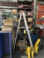 WERNER LADDER - 6'