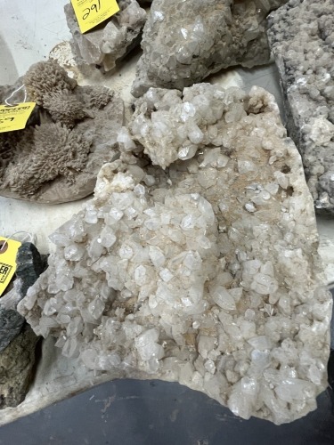 LOT GEODES