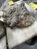 LOT GEODES - 2