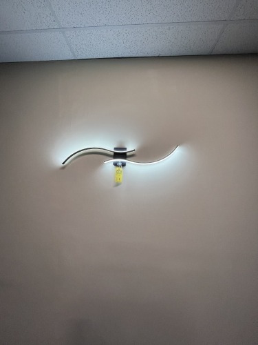 LED ARTISTIC WALL LIGHT (MOUNTED)