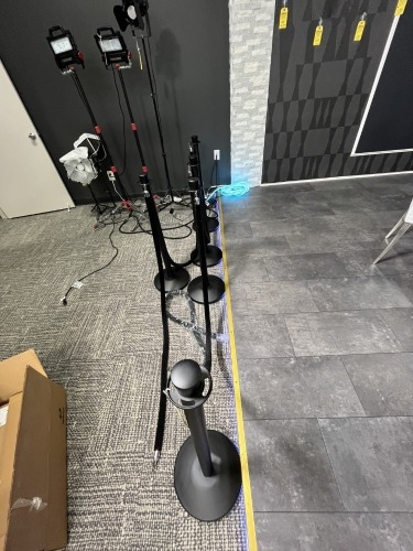 STANCHIONS WITH 5 BLACK VELVET ROPES