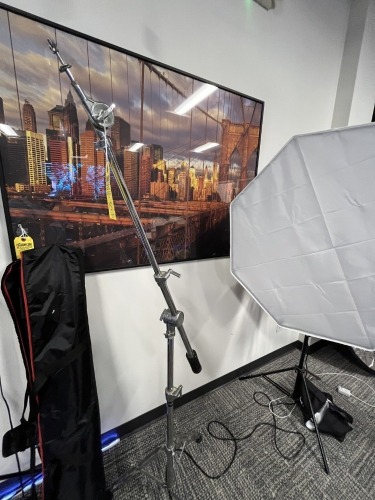 VIKING LIGHT / MIC STAND