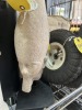 EGYPTIAN HEAD ON BASE