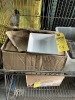 SQUARE WHITE BOWLS (NEW)