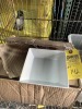 SQUARE WHITE BOWLS (NEW) - 2