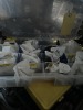 ASSORTED CONTAINERS - KEY BLANKS / LAMP HOLDERS