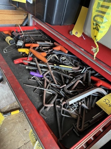 CONTENTS OF DRAWER - ALLEN WRENCHES, ETC (LOCATED IN HOLLYWOOD, FL)