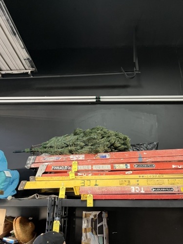 CHRISTMAS TREE