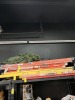 WERNER FIBERGLASS LADDER - 8' - 2