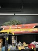 LOUISVILLE FIBERGLASS LADDER - 4' - 3