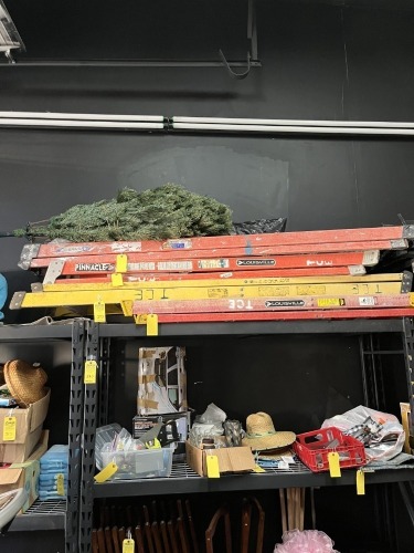 FIBERGLASS LADDER - 6'
