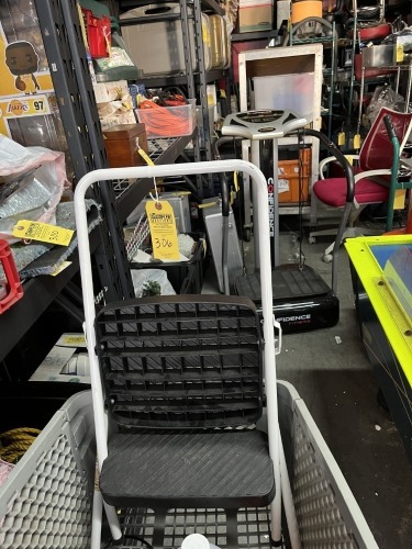 LADDER WITH 2 STEPS