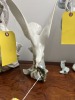LLADRO FIGURINE - DOVE - 3