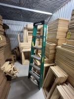 WERNER FIBERGLASS LADDER - 6'