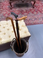Assorted Canes (1 Damaged)