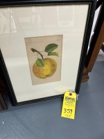 Fruit Picture Lithograph