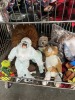 ASSORTED - PLUSHES, HAT, STOCKING, ETC - 2