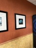 FRAMED PICTURES - TOMATO / ONION / PEPPER - 3