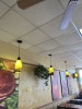 MULTI-COLOR PENDANT LIGHTS - 3