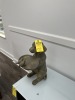 DOG / BIRD BATH DECOR - 2