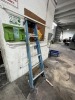 WERNER FIBERGLASS LADDER - 6' - 2
