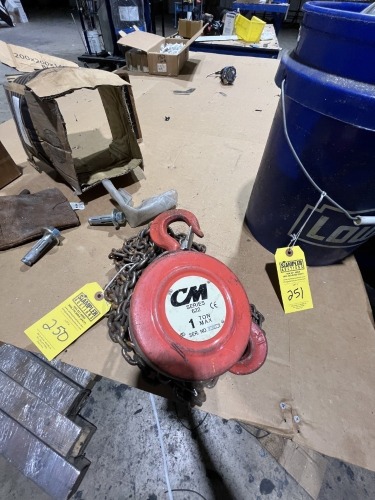 CM SERIES 622 HOIST - 1 TON