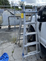 LITTLE GIANT TYPE LADDER